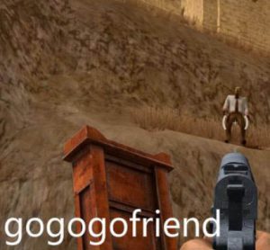 gogogofriend